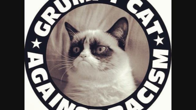 PUF A MUF BIGBAND : O duchaplnom kocúrovi смотреть онлайн