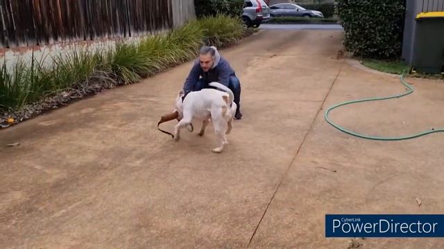 Tug game смотреть онлайн