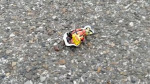 Артем взрывает детские бомбочки Тестируем бомбочки для детей