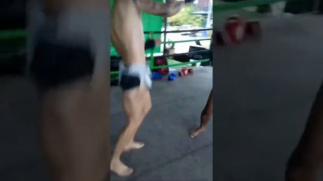 Хроники тайского Гатти: тренировка азиатскими енергетиками смотреть онлайн