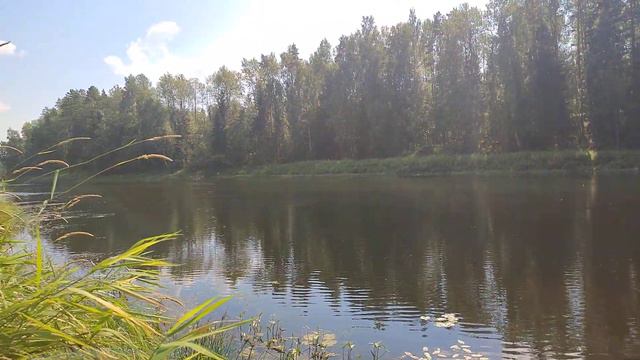 #луга #река смотреть онлайн