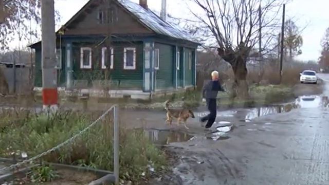 80ти летний дед продлевает жизнь бегом смотреть онлайн