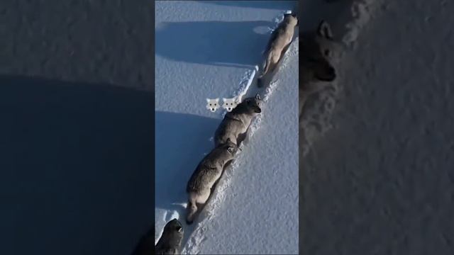 VID-20240704-WA0014.mp4 смотреть онлайн