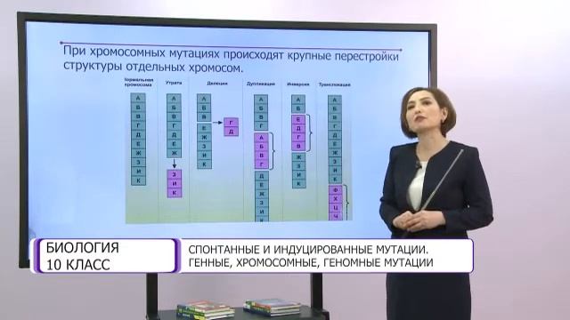 Биология. 10 класс. Спонтанные и индуцированные мутации. Генные, хромосомные мутации /26.02.2021/