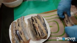 Рецепты новогоднего стола/Маринованое филе сельди замораживаем.