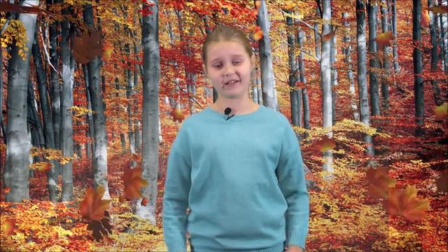 🍂Верш "Каштаны" Андрэя Хадановіча🍁 смотреть онлайн