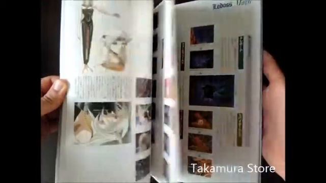 Artbook Record of Lodoss War vol2 by Takamura Store смотреть онлайн