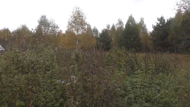Деревни в глубинке России. Продается дом в деревне за 180 000 руб. Скромная деревня у края леса. смотреть онлайн