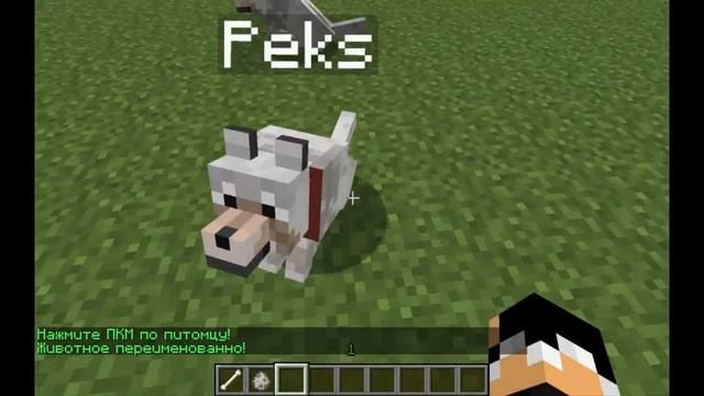 Обзор плагинов на Minecraft 1.5.2 #1-PetNames смотреть онлайн