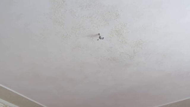 Декоративная штукатурка под ШЕЛКОГРАФИЮ на ПОТОЛКАХ в КУХНЯХ смотреть онлайн