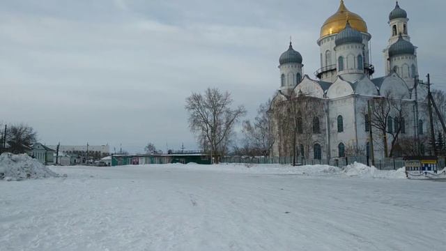 Поездка к кардиологу Елена Халдина смотреть онлайн