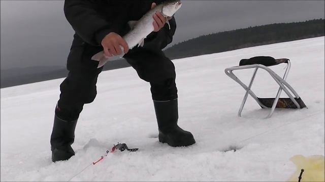 Активный таймень подледная рыбалка 2020 03 31 смотреть онлайн