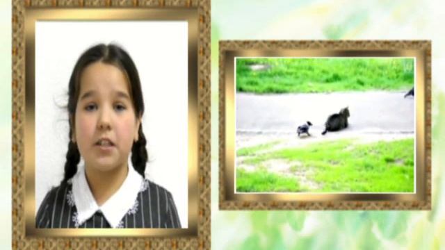 А.А. Блок «Ворона» читает Амина Андреева смотреть онлайн