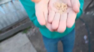 мамикс первое видео