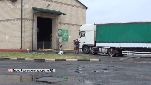 Более 60 тыс.тонн продукции проверил Россельхознадзор на российско-азербайджанской границе смотреть онлайн