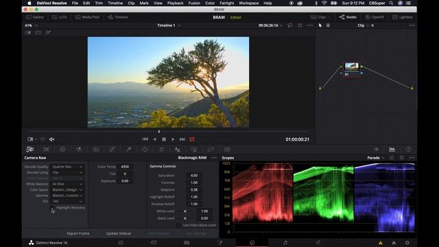 Edit BRAW In DaVinci Resolve