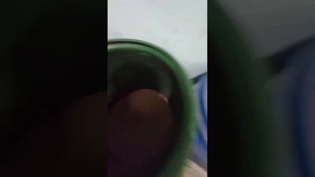 Стоимость содержания кур и кроликов, в подвале гаража. цены зерновых ноябрь 2023 смотреть онлайн