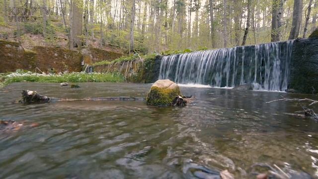 Video test Nikon D7100 (Full HD) смотреть онлайн