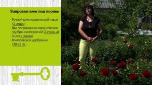 ТОП 10 КРАСИВЫХ СОРТОВ ПИОНОВ. СЕЗОН 2020