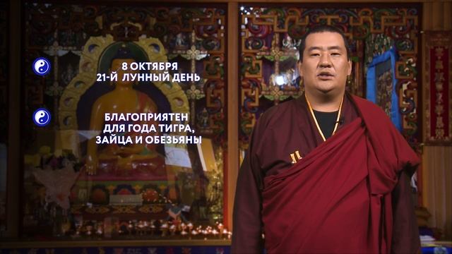 ЗУРХАЙ на 08.10.2020 смотреть онлайн