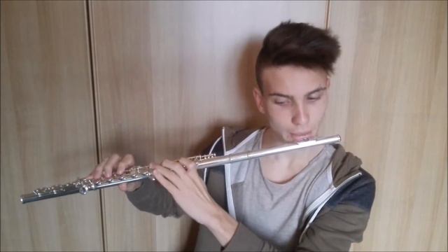 Setting Fires ( The Chainsmokers) Flute Cover смотреть онлайн