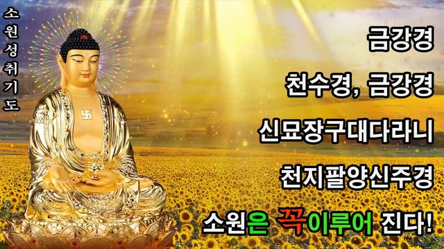 매일 들어라: 소원이 실현되는 건강 과 돈 행운 🙏🙏🙏 금강경, 천수경, 신묘장구대다라니, 천지팔양신주경, 관세음보살 정근, 천지팔양신주경 (우리말) 관세음보살