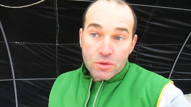 О КЕДРАХ С УРОЖАЕМ НА 3-й ГОД. Ответ на вопрос. смотреть онлайн