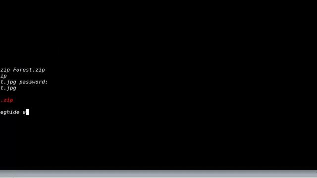 Forest | Stego Challenge of Hack The Box (HTB) solution using steghide and Python смотреть онлайн