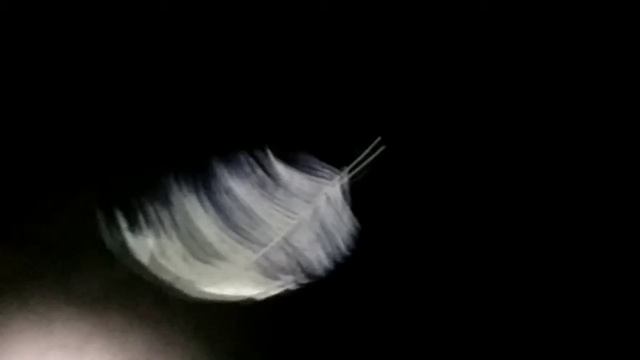 Самый большой планетарий в Мире!!! Санкт-Петербург. Сходить стоит! смотреть онлайн