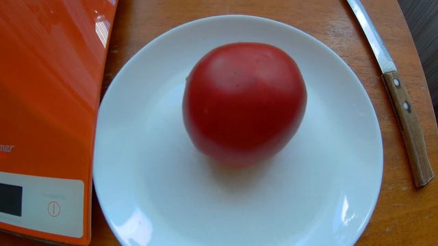 Томат Лихач Вилс. 2021. Томаты в открытом грунте.