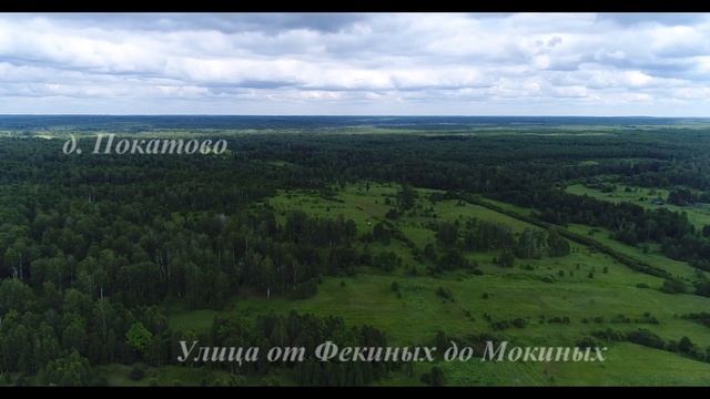 Троица 2019 Мордовия, Ельниковский район, село Покатово смотреть онлайн