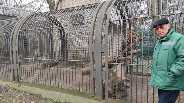 Владимир Топчий прокомментировал ситуацию с LEOPARD в Николаеве смотреть онлайн