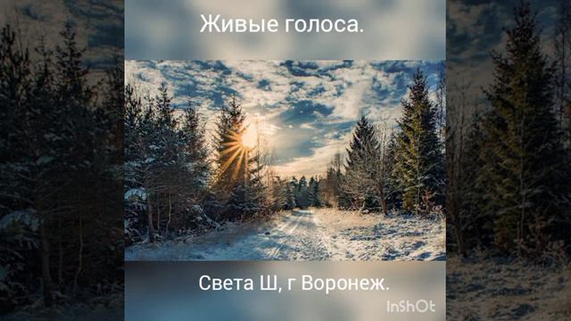 Живые голоса, Света Ш, г Воронеж. смотреть онлайн