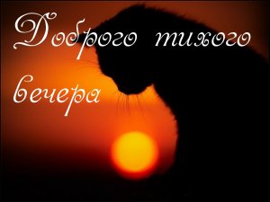 Добрый Вечер! Красивое Пожелание Друзьям!