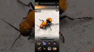 The Ants ТРОЙКА ЛУЧШИХ ГЕНЕРАЛОВ ДЛЯ ЛУЧНИКОВ |  The Ants Undeground Kingdom