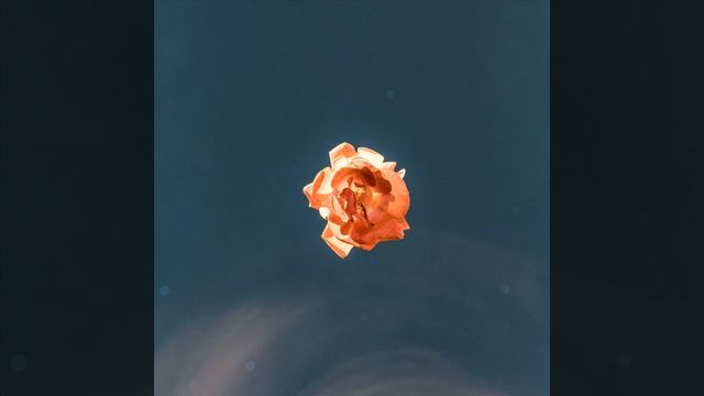 Discussion смотреть онлайн