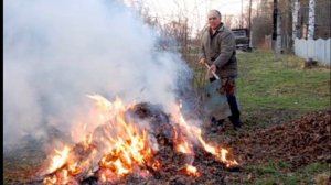 Причины лесных пожаров