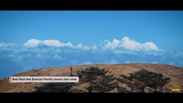 Why Do The Sandakphu-Phalut Trek From This Different Route | Indiahikes смотреть онлайн