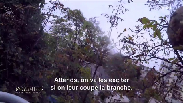 Pompiers : Leur Vie En Direct - Pompiers Au Feminin 