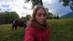 Покупка ВТОРОЙ ЛОШАДИ! VLOG День приезда и Адаптация