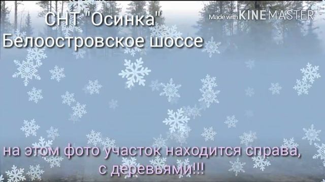 РФ, Лен.обл.,Массив Белоостров,СНТ, участок 10 сот., все коммуникации есть(газ, электричество, вода смотреть онлайн