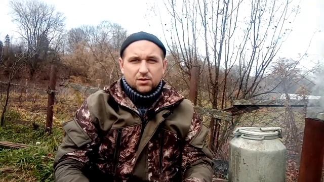 Забой гусей в 7 месяцев. Сколько потратил на корм и с чего началось гусеводство. смотреть онлайн