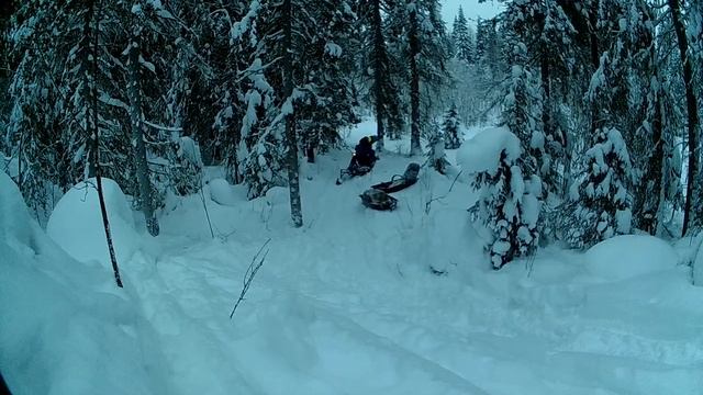 паксус в гору смотреть онлайн