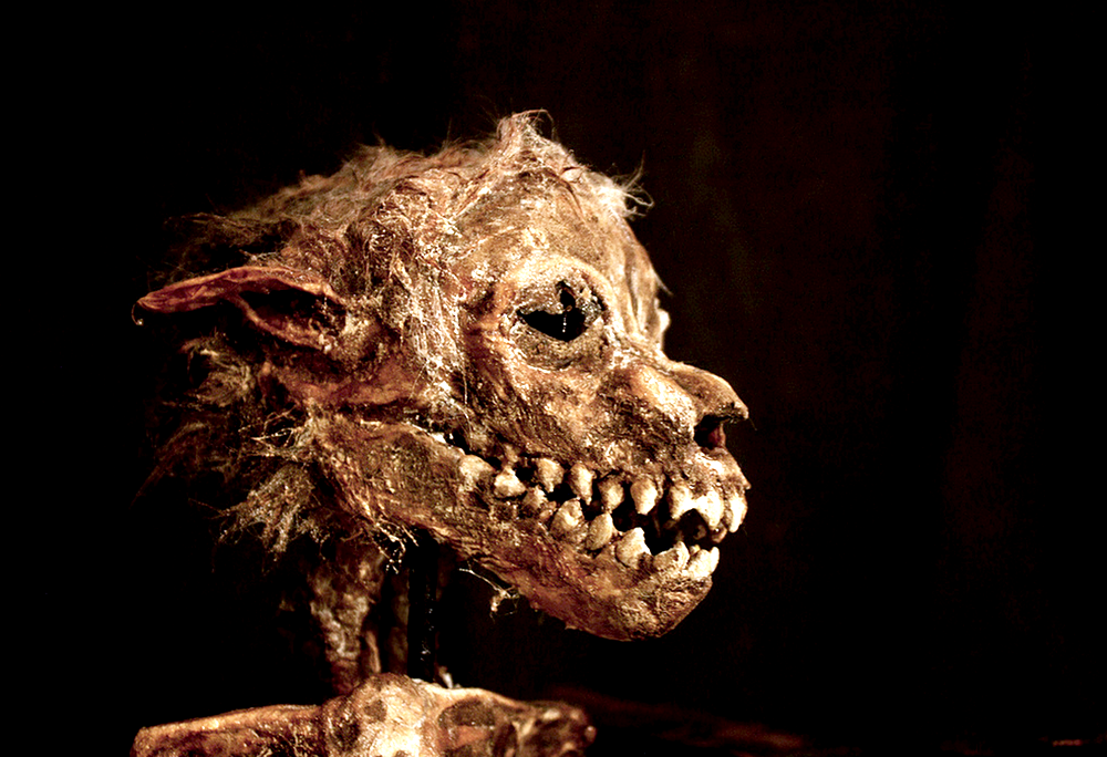 Чупакабра - ночной охотник смотреть онлайн