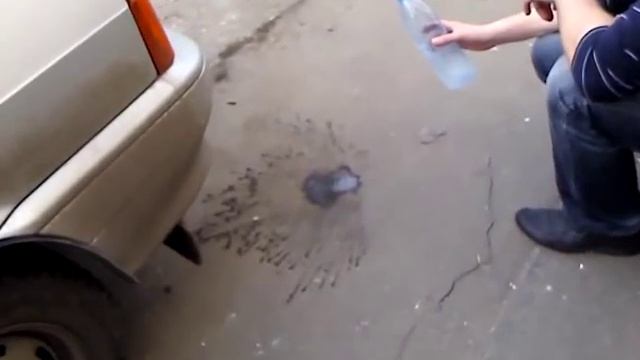 Жидкий фреон. смотреть онлайн