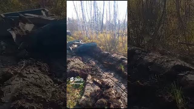 Делаем мин полосы плугом ПЛМЛ-001Ф Леспромресурс на тракторе ТДТ-55 смотреть онлайн