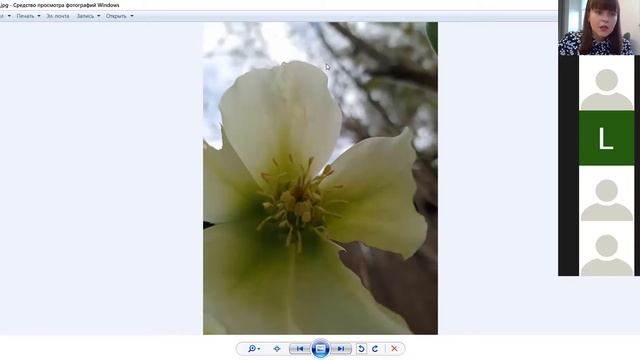 Введение в Photoshop (черно-белые и кадрирование) смотреть онлайн