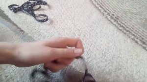 Как надеть шлейку на кота?