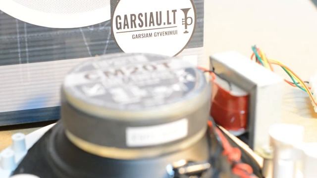 Apart Audio CM20T įmontuojama garso kolonėlė смотреть онлайн
