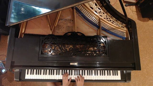 #246 of 10.000 Blüthner Grand Piano Pieces смотреть онлайн
